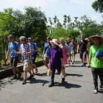 尋訪客家茶庄之旅