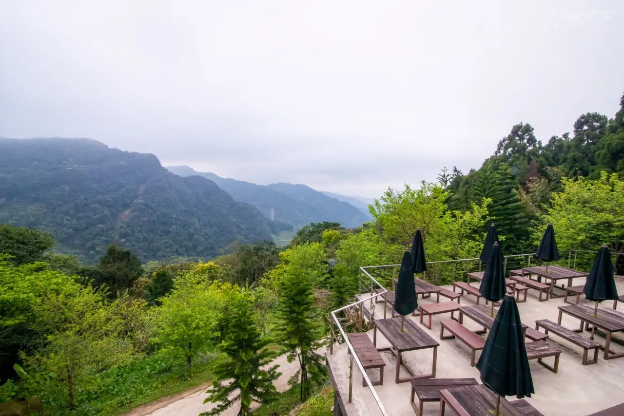 三峽熊空農園