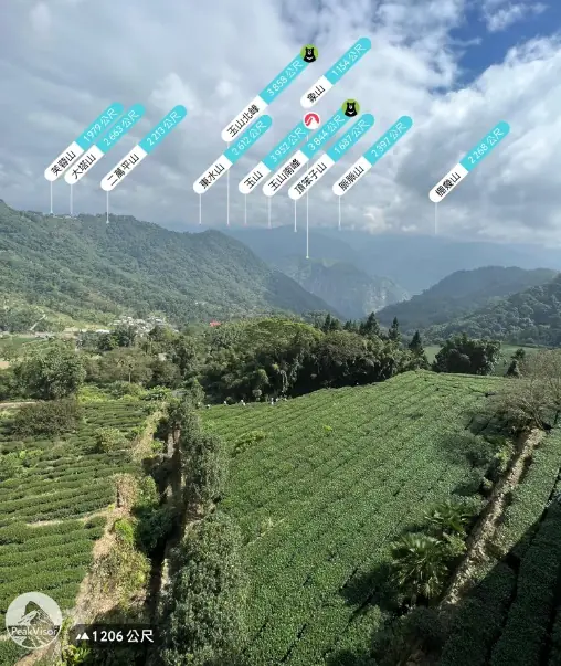 高山茶故鄉隙頂