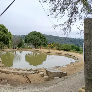 大北坑龍泉茶步道