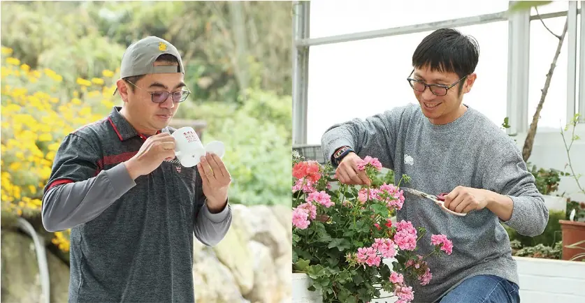 嘉義高山茶銪茗堂黃昶銪