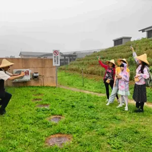 台灣客家茶文化館採茶