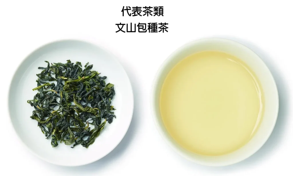文山包種茶葉及茶湯