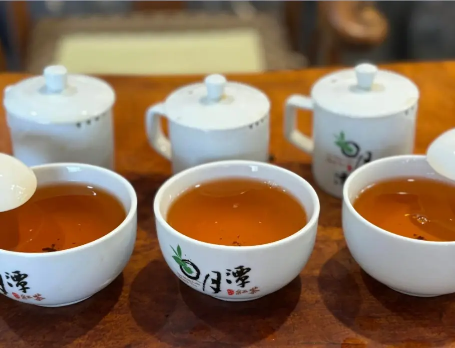 日月潭有機紅茶