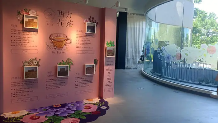歐洲常見的香草植物展示區