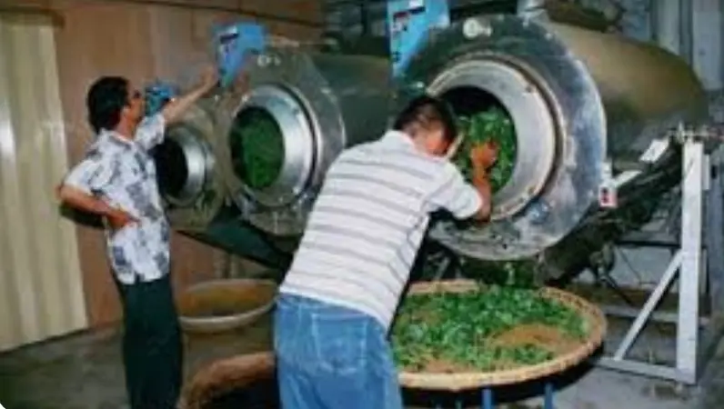 茶葉殺菁機