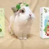 茶仙的秘密桌遊茶禮盒 茶仙的秘密桌遊茶禮盒
