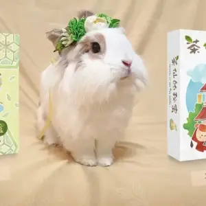 茶仙的秘密桌遊茶禮盒