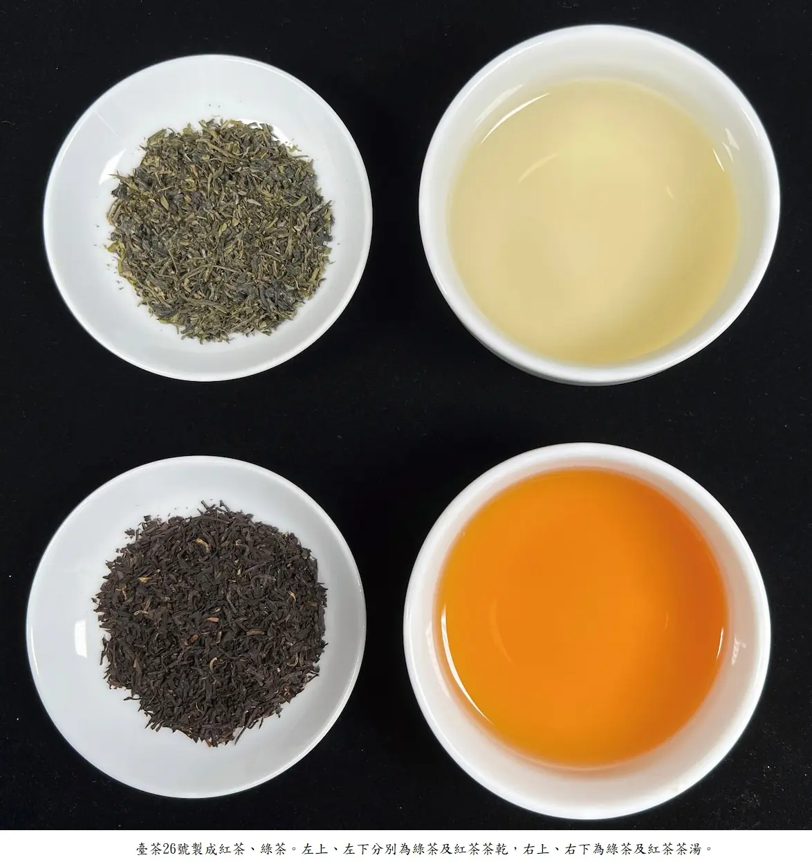 臺茶26號茶湯及茶乾
