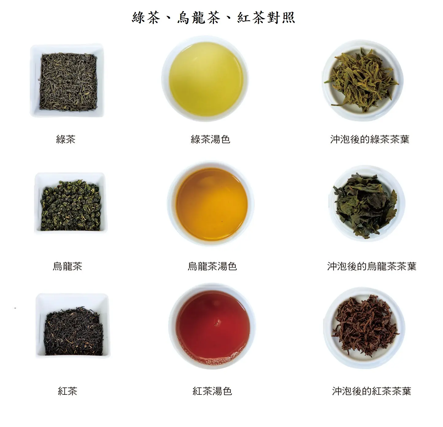 綠茶、烏龍茶、紅茶之外觀、茶湯及茶底對照圖