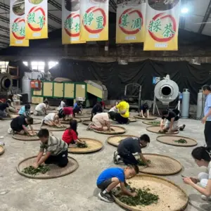新元昌紅茶產業文化館小小製茶師活動