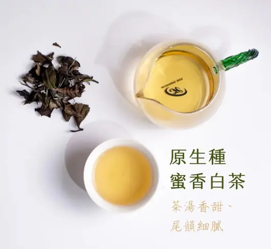 原生種蜜香白茶