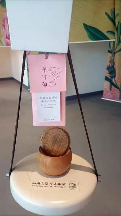 西方花茶廳洋甘菊聞香杯