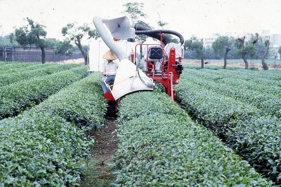 雙人自走式採茶機