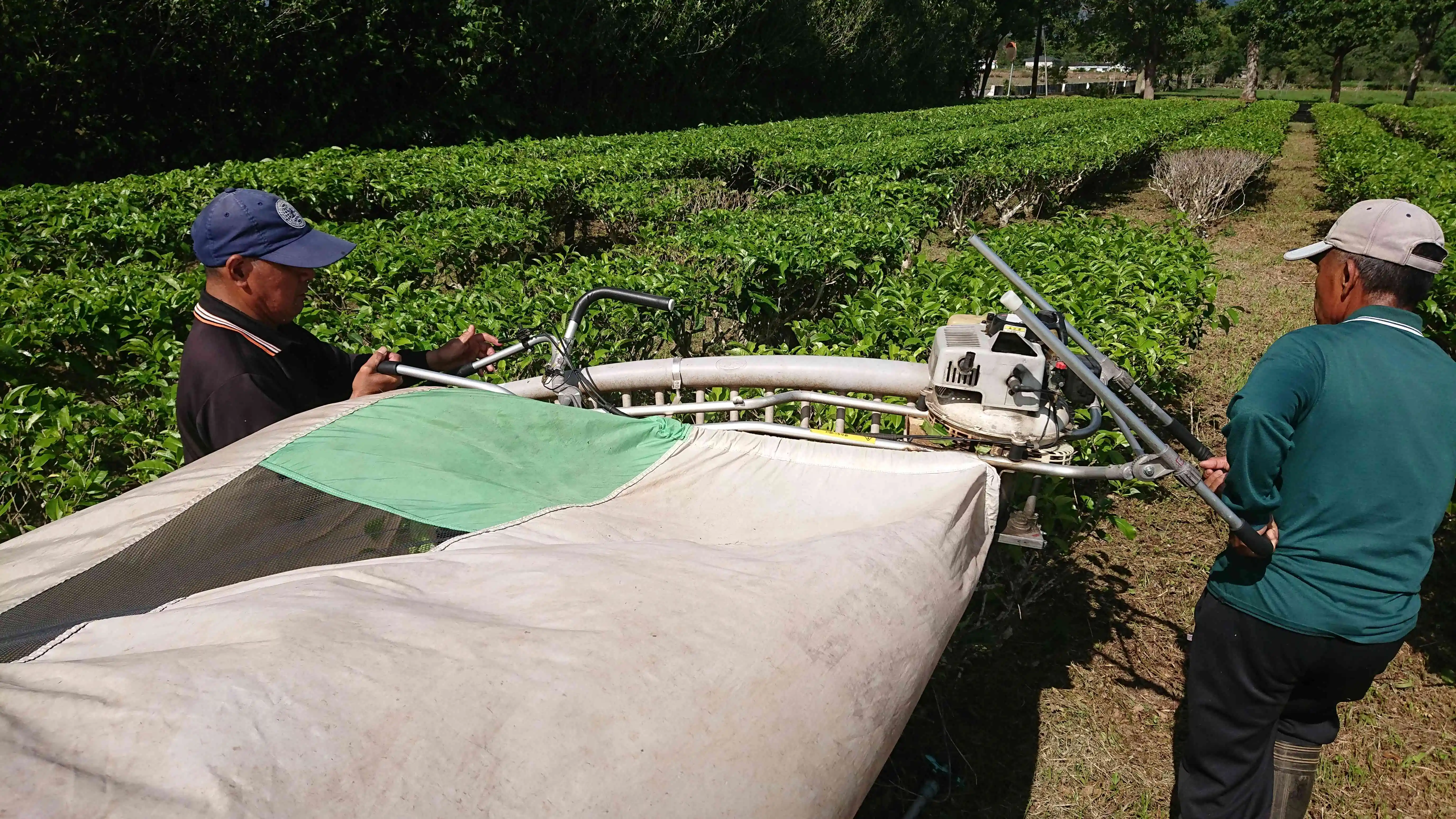 雙人式採茶機