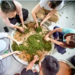 製茶體驗活動