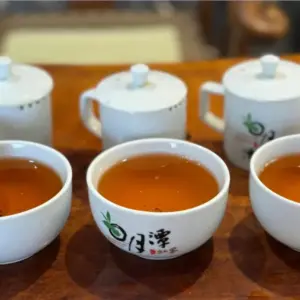 日月潭騰霖有機紅茶湯色澤