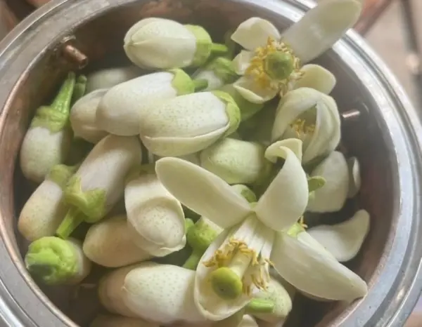 柚子花
