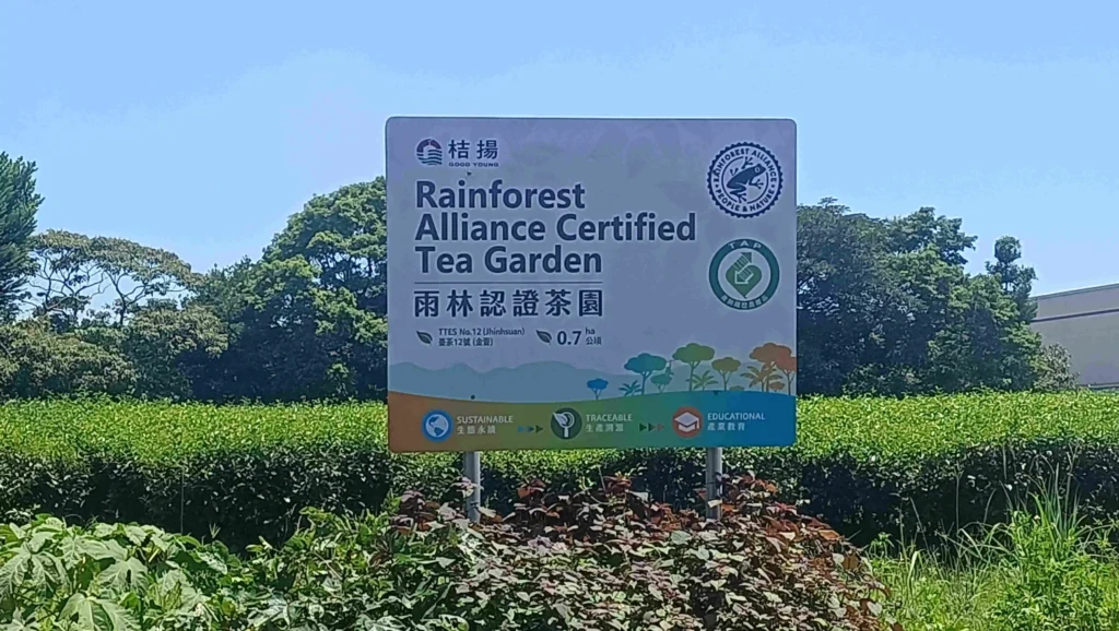 桔揚茶業熱帶雨林認證茶區