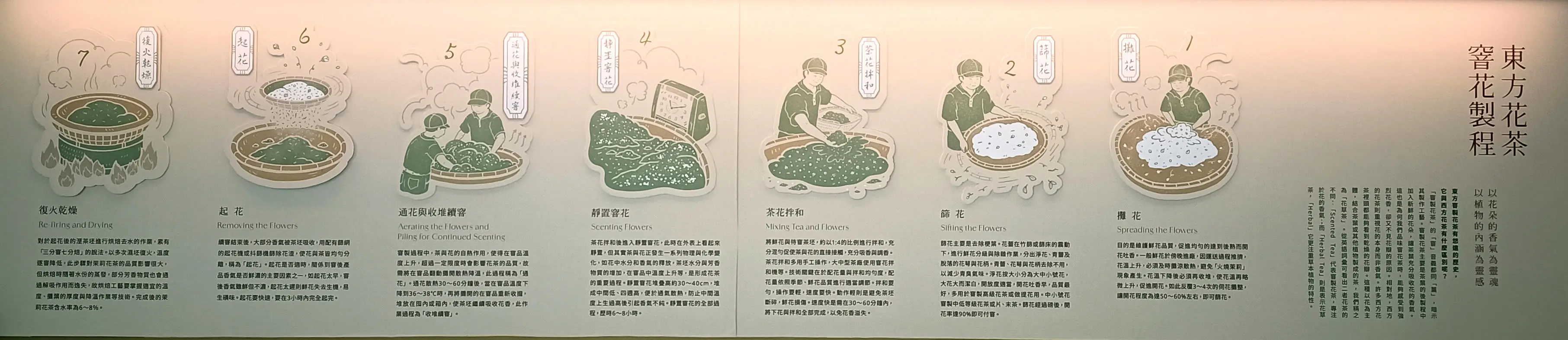 台灣窨花的製作流程(一窨)