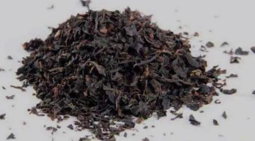 茶葉渣