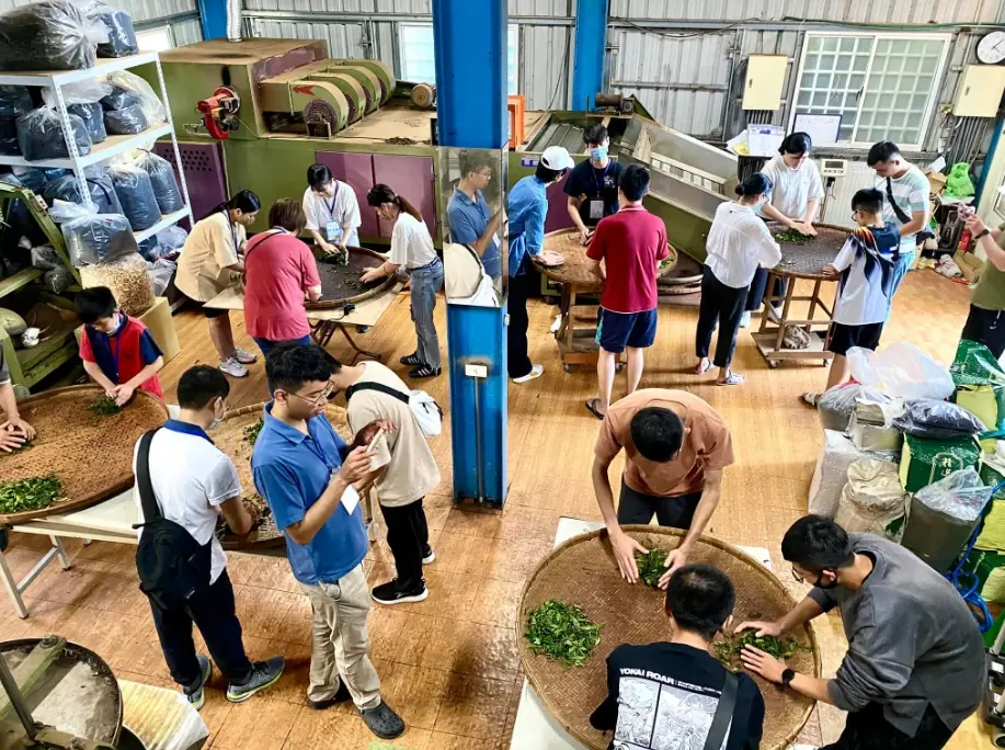 日月潭騰霖有機紅茶廠製茶體驗