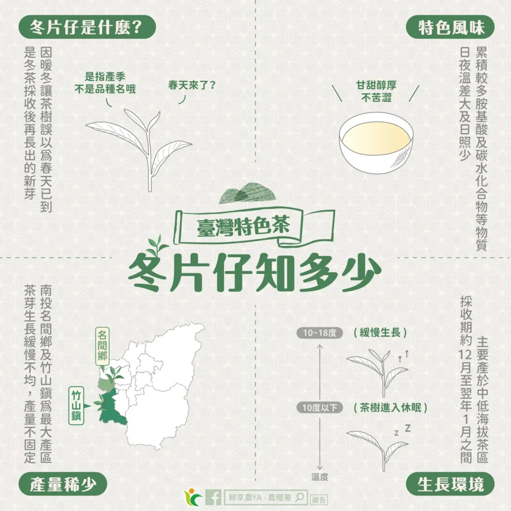冬片仔不知春說明