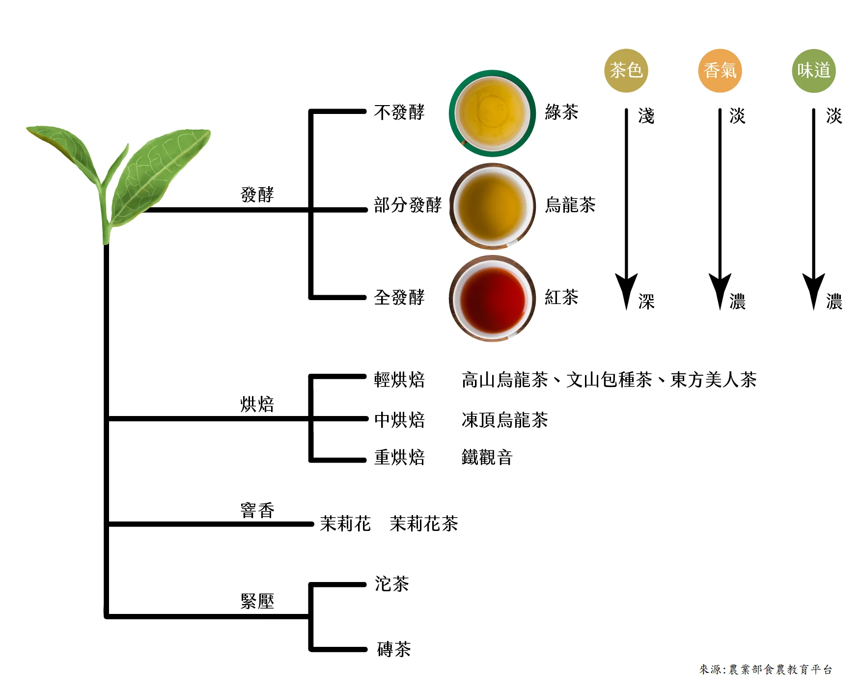 茶葉加工製作說明圖