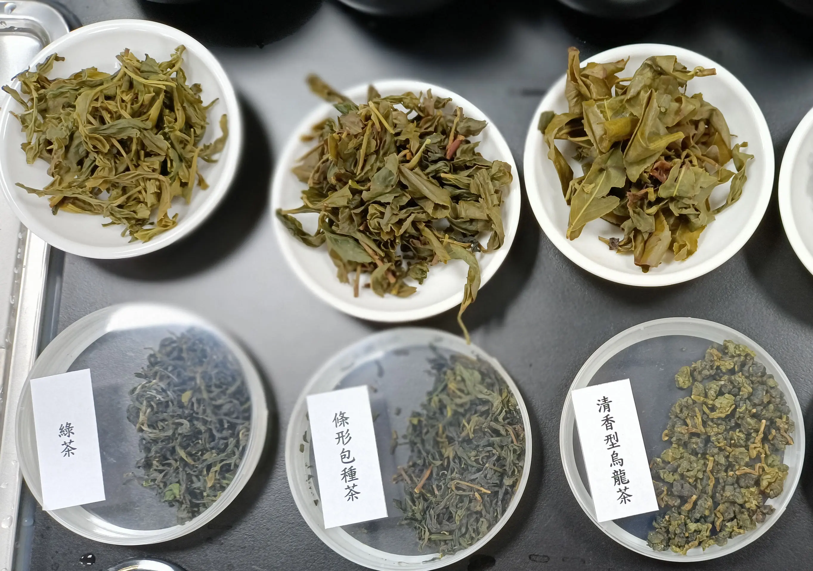 綠茶、條型包種茶、清香型烏龍茶乾對照