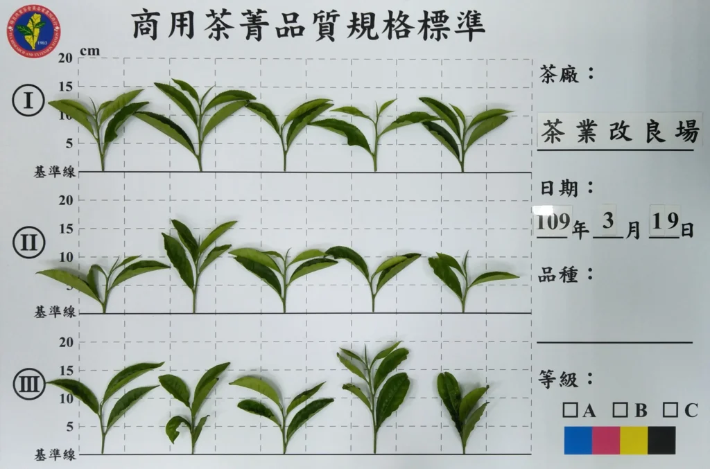 商業茶菁品質規格標準