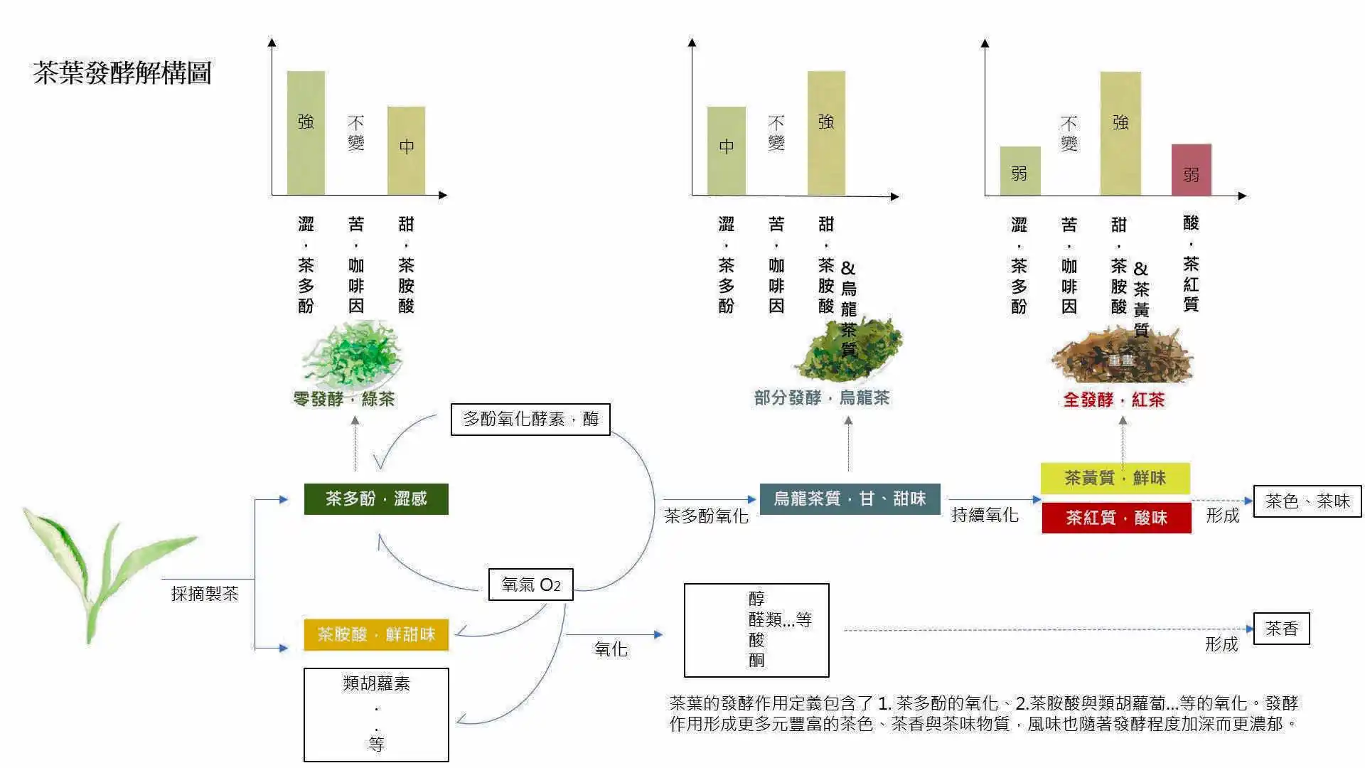 茶葉氧化發酵解構圖