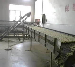 機器篩分茶與茶葉