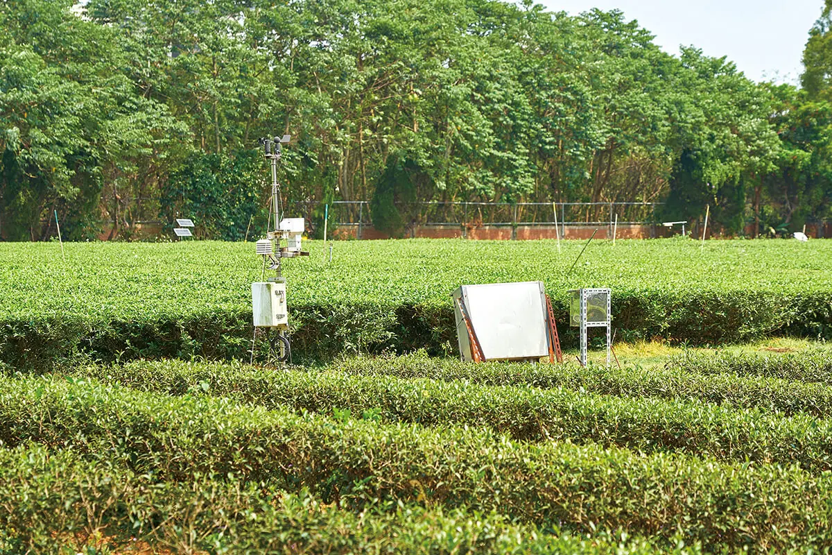 楊梅茶改場實驗茶園中的微氣象感測站