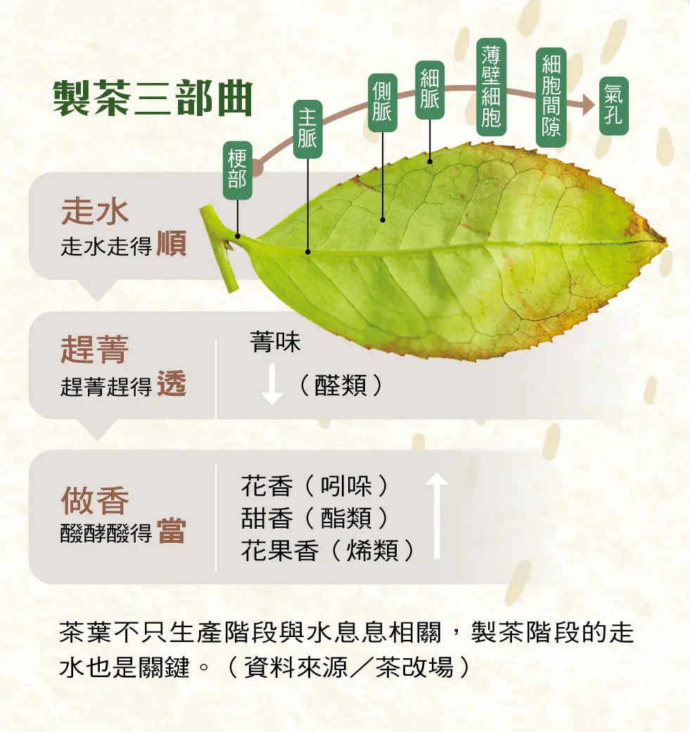 製茶三部曲