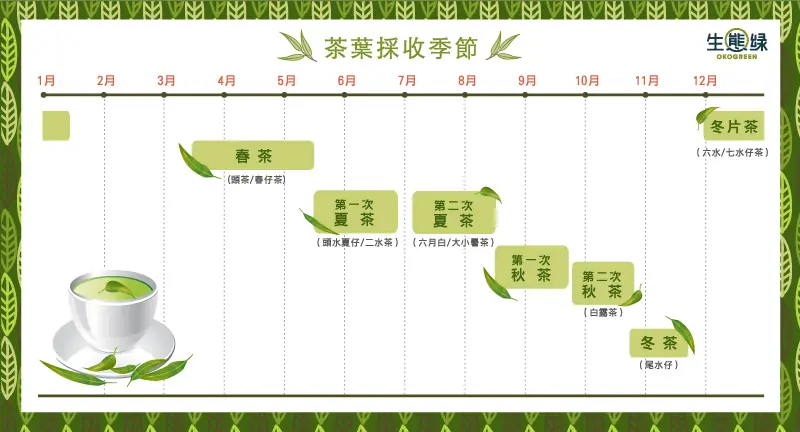一年24節氣與茶葉採收